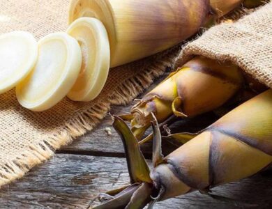 Jarang Diketahui Ternyata Rebung Memiliki Ragam Manfaat Kesehatan