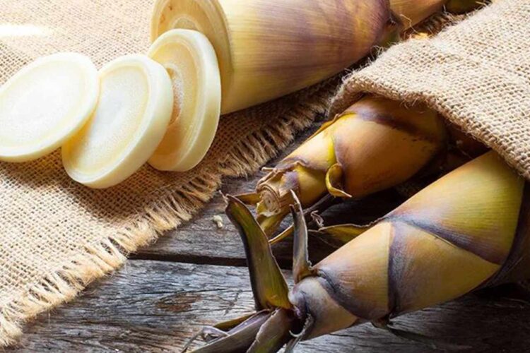 Jarang Diketahui Ternyata Rebung Memiliki Ragam Manfaat Kesehatan