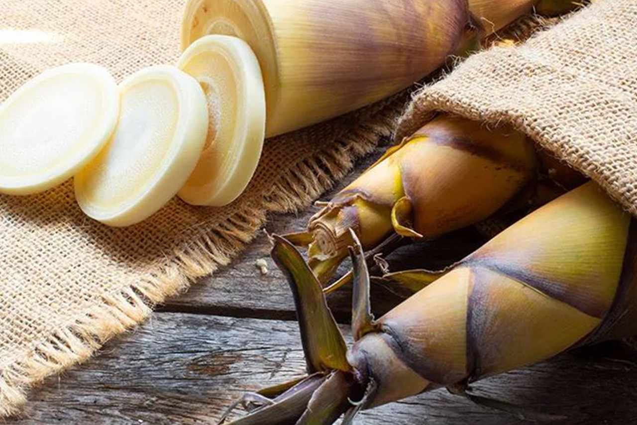 Jarang Diketahui Ternyata Rebung Memiliki Ragam Manfaat Kesehatan