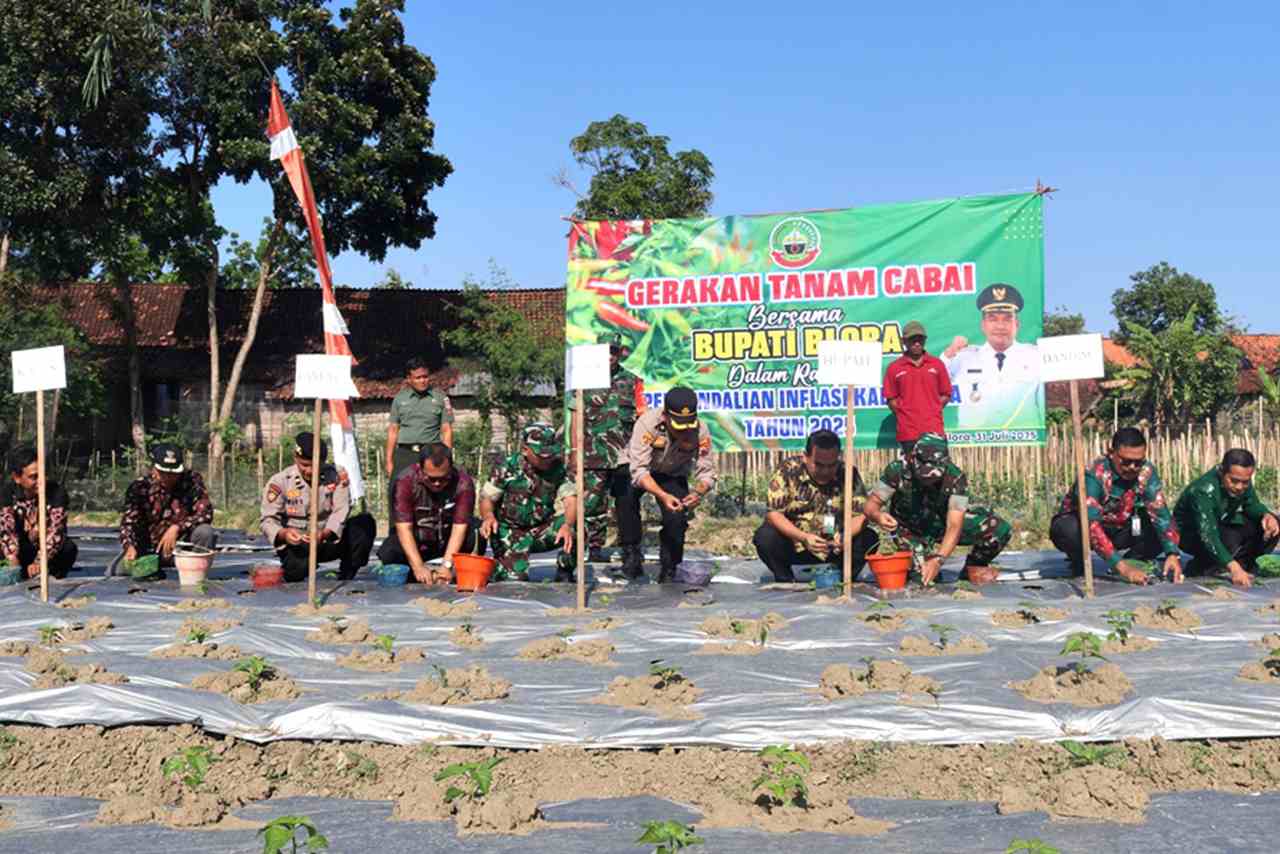 Minimalisir Inflasi DP4 Blora Bikin Inovasi Gerakan Tanam Cabai