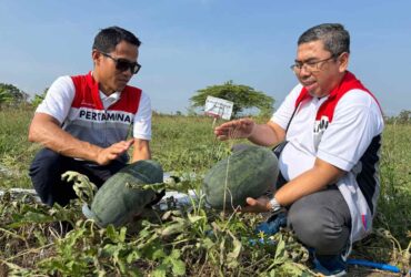Panen Perdana Pertamina EP Cepu dalam Program Langit Biru Jambaran Tiung Biru