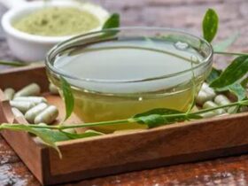 Resep Herbal Daun Sambiloto Obat Alami untuk Gaya Hidup Sehat