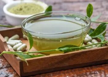 Resep Herbal Daun Sambiloto Obat Alami untuk Gaya Hidup Sehat