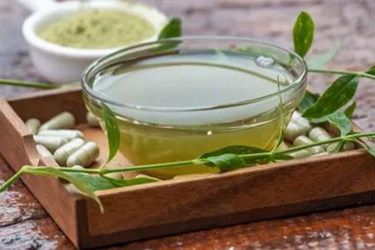 Resep Herbal Daun Sambiloto Obat Alami untuk Gaya Hidup Sehat