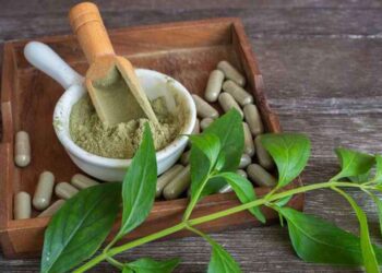 Sayang Untuk Dilewatkan 10 Manfaat Utama Daun Sambiloto Untuk Kesehatan dan Kecantikan