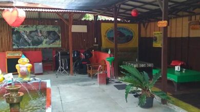 Berdiri 2016 Rumah Kalkun Blora Sajikan Kuliner Unik dan Khas Blora yang Tiada Duanya