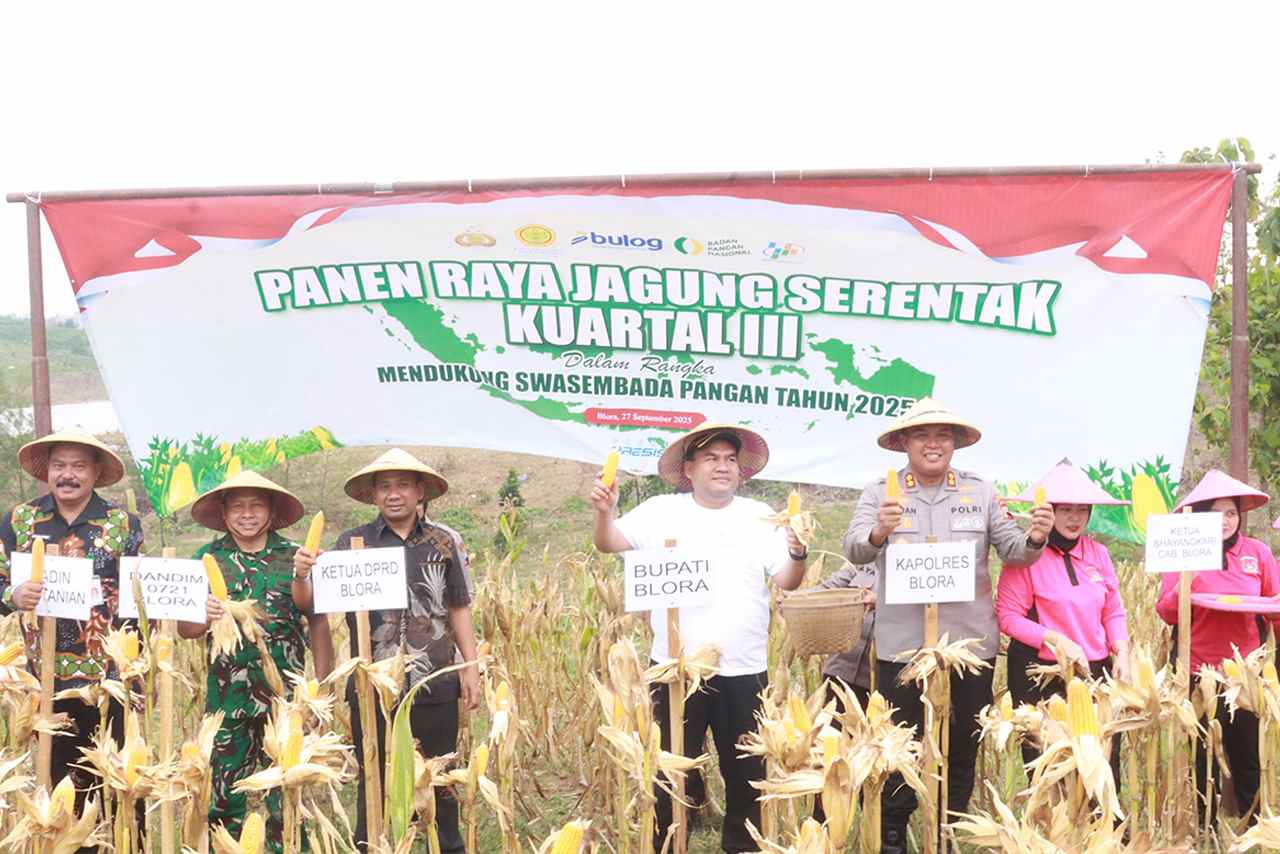 Panen Raya Jagung di Blora Pemkab Bersama Polres dan Kodim Blora Kompak Terjun ke Sawah 2