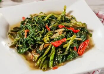 Resep Tumis Kangkung Saus Tiram Lezat dan Mudah Dibuat Anak Kos