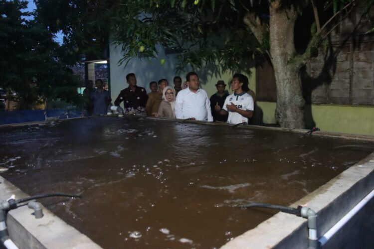 Bupati Blora Apresiasi Anindita, Pemuda Inspiratif Sukses Kembangkan Budidaya Nila Bioflok Modern