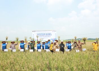 Pertamina EP Cepu dan Petani Blora Sukses Wujudkan Pertanian Organik Berkelanjutan 3 Pertamina EP Cepu dan Petani Blora Sukses Wujudkan Pertanian Organik Berkelanjutan