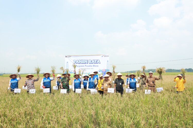 Pertamina EP Cepu dan Petani Blora Sukses Wujudkan Pertanian Organik Berkelanjutan