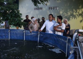 Produksi Fantastis! Kisah Sukses Anindita, Mahasiswa 20 Tahun Raup Cuan dari Budidaya Nila Bioflok Blora