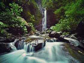 Rekomendasi 7 Tempat Wisata Indonesia yang Mengusung Konsep Ramah Lingkungan, Cocok untuk Liburan Akhir Tahun