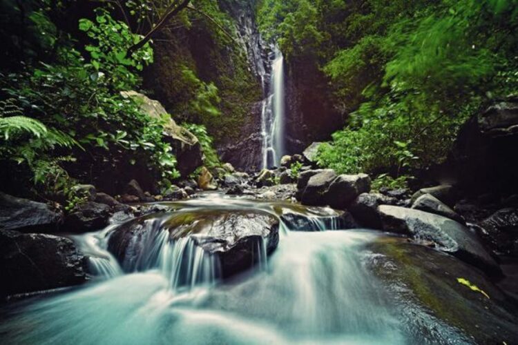 Rekomendasi 7 Tempat Wisata Indonesia yang Mengusung Konsep Ramah Lingkungan, Cocok untuk Liburan Akhir Tahun