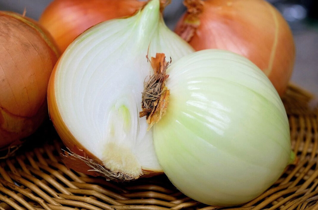 Inilah Segudang Khasiat Bawang Bombai untuk Kesehatan Tubuh