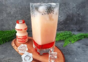 5 Varian Squash Yakult yang Populer Minuman Viral Kekinian dan Mudah Dibuat