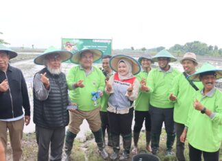 Wujudkan Cita-Cita Kabupaten Organik, Petani Blora Berhasil Panen 7 Ton/ha Gunakan Metode SRI