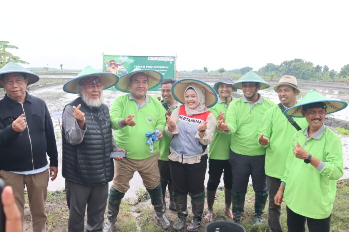 Wujudkan Cita-Cita Kabupaten Organik, Petani Blora Berhasil Panen 7 Ton/ha Gunakan Metode SRI