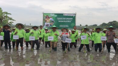 Lumbung Pangan Jawa Tengah, Blora Wajib Jadi Kabupaten Organik
