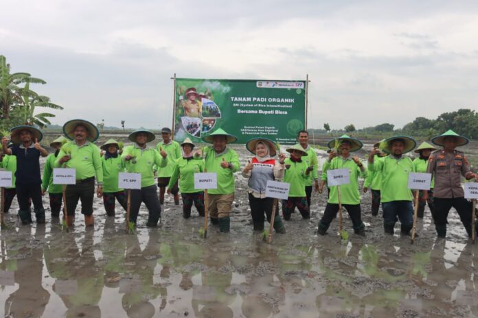 Lumbung Pangan Jawa Tengah, Blora Wajib Jadi Kabupaten Organik