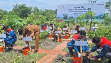PEPC Zona 12 Serah Terimakan Fasilitas Hutan Sekolah dan Program Gayatri