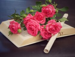 Inspirasi 7 Kado Spesial untuk Rayakan Hari Guru Nasional