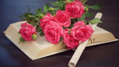 Inspirasi 7 Kado Spesial untuk Rayakan Hari Guru Nasional