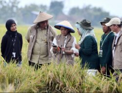 Tani Digital Meutya Hafid Tegaskan Teknologi IoT Pertanian Percepat Penguatan Ketahanan Pangan Nasional