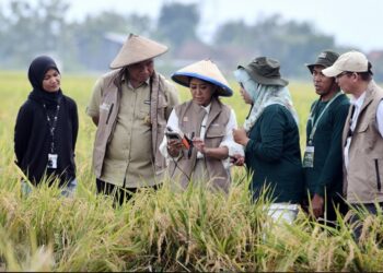 Tani Digital Meutya Hafid Tegaskan Teknologi IoT Pertanian Percepat Penguatan Ketahanan Pangan Nasional