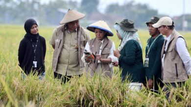 Tani Digital Meutya Hafid Tegaskan Teknologi IoT Pertanian Percepat Penguatan Ketahanan Pangan Nasional