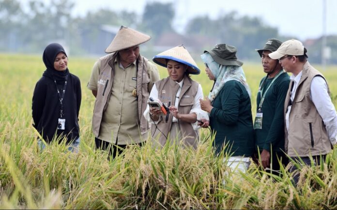 Tani Digital Meutya Hafid Tegaskan Teknologi IoT Pertanian Percepat Penguatan Ketahanan Pangan Nasional