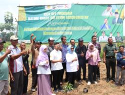 Gaspol Swasembada Pangan Nasional Blora Targetkan 1000 Hektar Lahan untuk Tanaman Buah