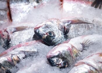 5 Cara Memilih Ikan Segar untuk Bakaran Malam Tahun Baru