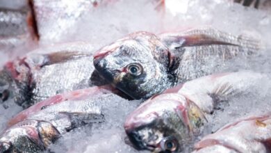 5 Cara Memilih Ikan Segar untuk Bakaran Malam Tahun Baru