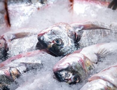 5 Cara Memilih Ikan Segar untuk Bakaran Malam Tahun Baru