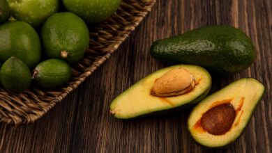 Banyak yang Belum Tahu Ini Ragam Manfaat Alpukat bagi Tubuh