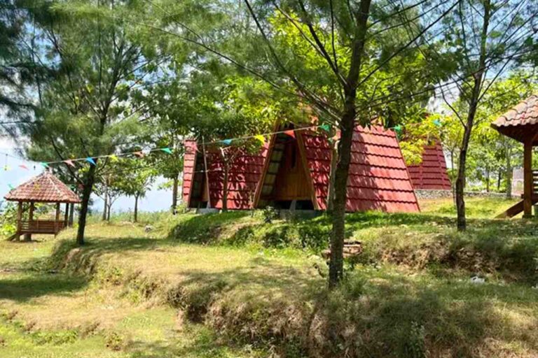 Cocok Untuk GEN Z 5 Rekomendasi Wisata Alam di Blora Untuk Menikmati Camping Akhir Tahun