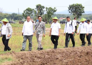 Kunker ke Blora, Dua Menteri Diajak Panen Cabai di Desa Bangsri Jepon 4 Kunker ke Blora Dua Menteri Diajak Panen Cabai di Desa Bangsri Jepon