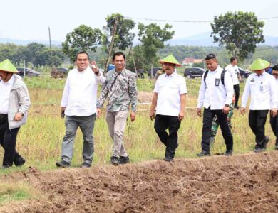 Kunker ke Blora Dua Menteri Diajak Panen Cabai di Desa Bangsri Jepon