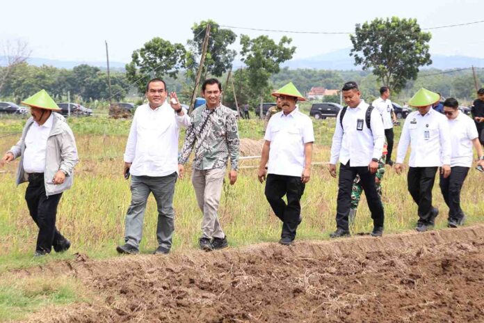 Kunker ke Blora Dua Menteri Diajak Panen Cabai di Desa Bangsri Jepon
