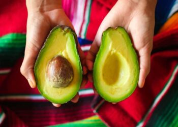 Nutrisi Lengkap Ini 6 Manfaat Alpukat Bagi Kesehatan Ibu Hamil