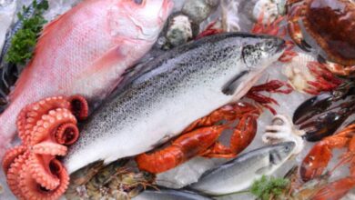 10 Jenis Ikan Laut yang Tidak Aman untuk Dikonsumsi