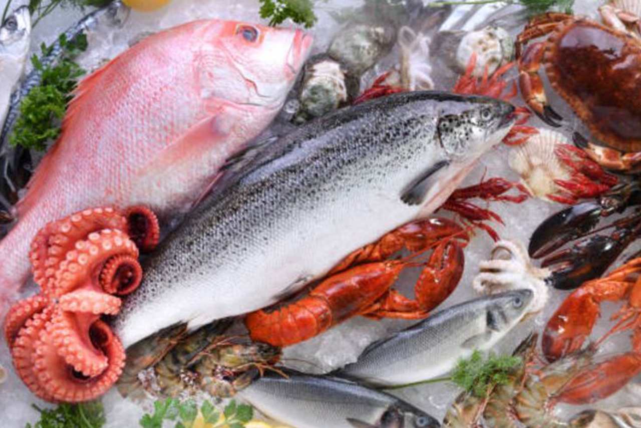 10 Jenis Ikan Laut yang Tidak Aman untuk Dikonsumsi