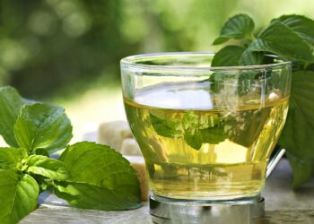 3 Resep Meracik Daun Kemangi untuk Minuman Kesehatan