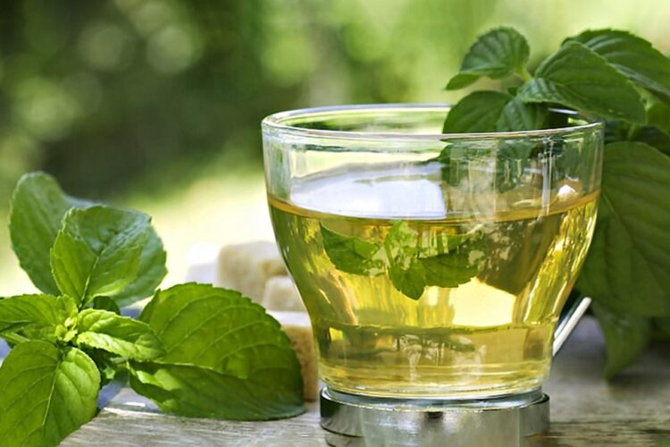 3 Resep Meracik Daun Kemangi untuk Minuman Kesehatan