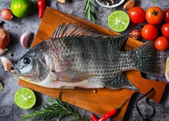 7 Tips Memilih Ikan Air Tawar untuk Konsumsi Harian