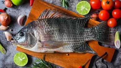 7 Tips Memilih Ikan Air Tawar untuk Konsumsi Harian