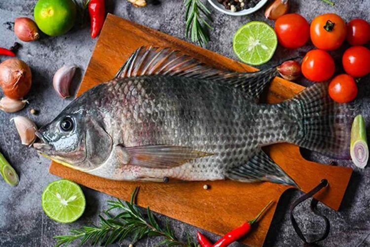 7 Tips Memilih Ikan Air Tawar untuk Konsumsi Harian