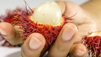 Buah Segar Kaya Nutrisi Sejumlah Manfaat Buah Rambutan untuk Kecantikan