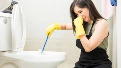 Cara Sederhana Hilangkan Bau WC yang Menyengat